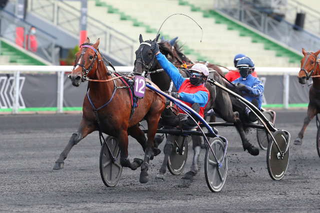 haras de la sauvagère - IN THE MONEY