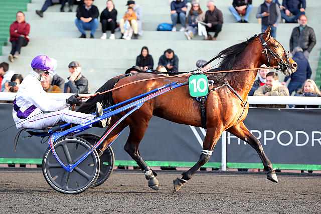haras de la sauvagère - KANADA