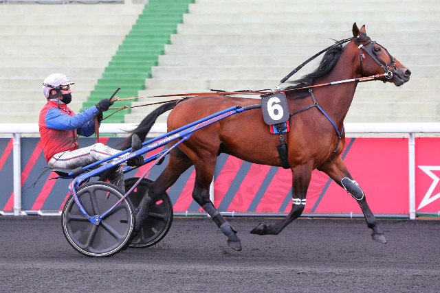 haras de la sauvagère - IN THE MONEY