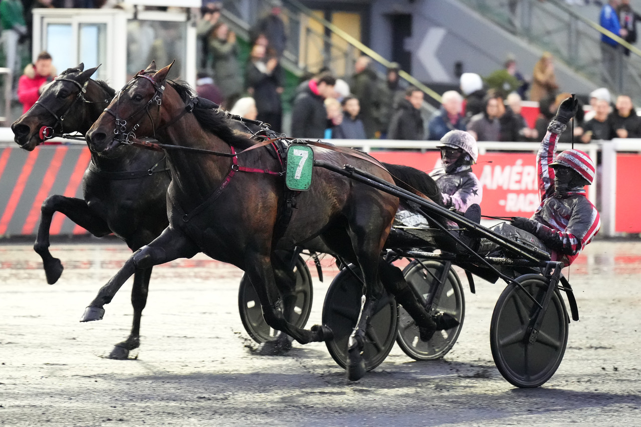 haras de la sauvagère - Mack de Blary